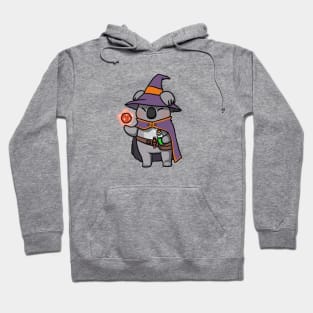 Koala sorcerer mage Hoodie